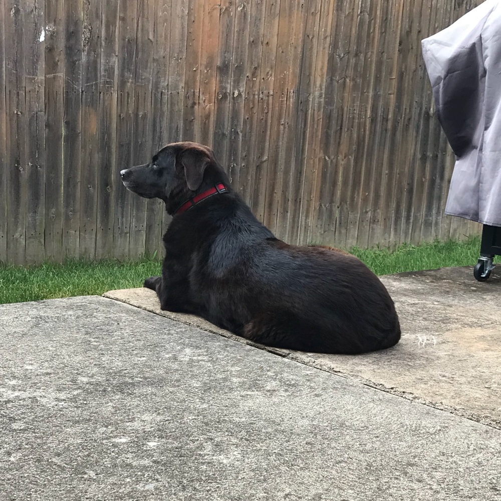 Meet your Posher, Kevin